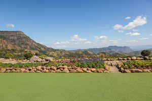 Large residential artificial turf lawn with clean landscaping