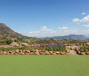 Artificial turf backyard with patio and landscape edging