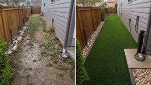 Before-and-after of a Denver side-yard dog run, from muddy patch to clean pet turf