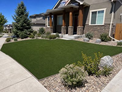 Aspirational Denver front yard with artificial turf and xeriscape curb appeal