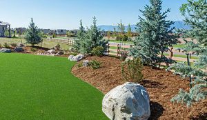 Artificial turf lawn with rock-bordered planting bed and trees in Denver